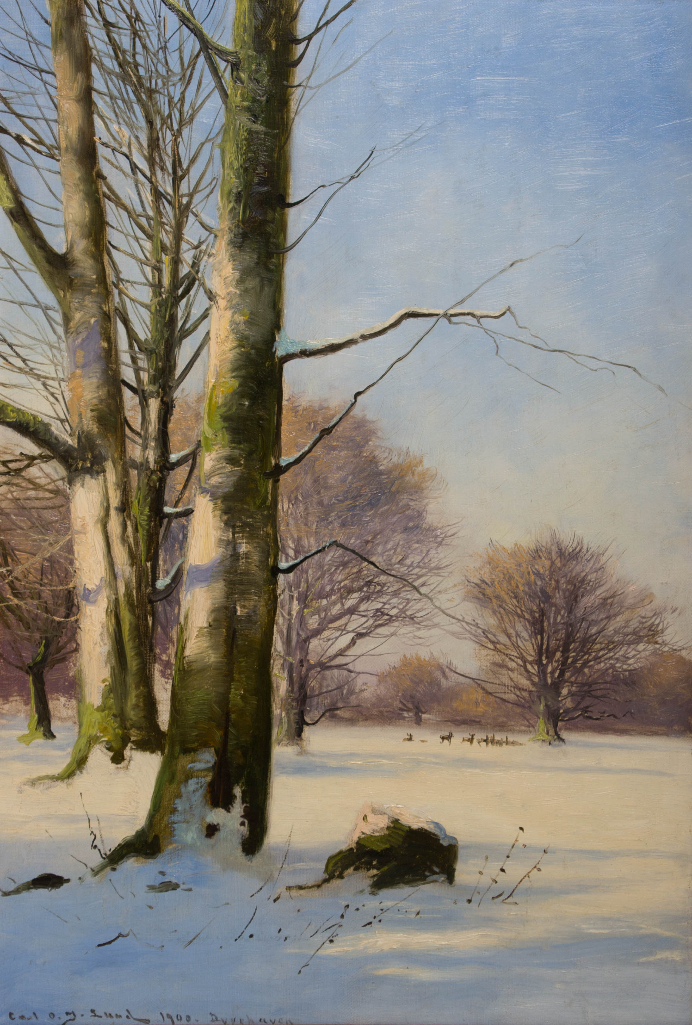 Carl Ove Julian Lund 1857-1936 – Dear Park Dyrenhave