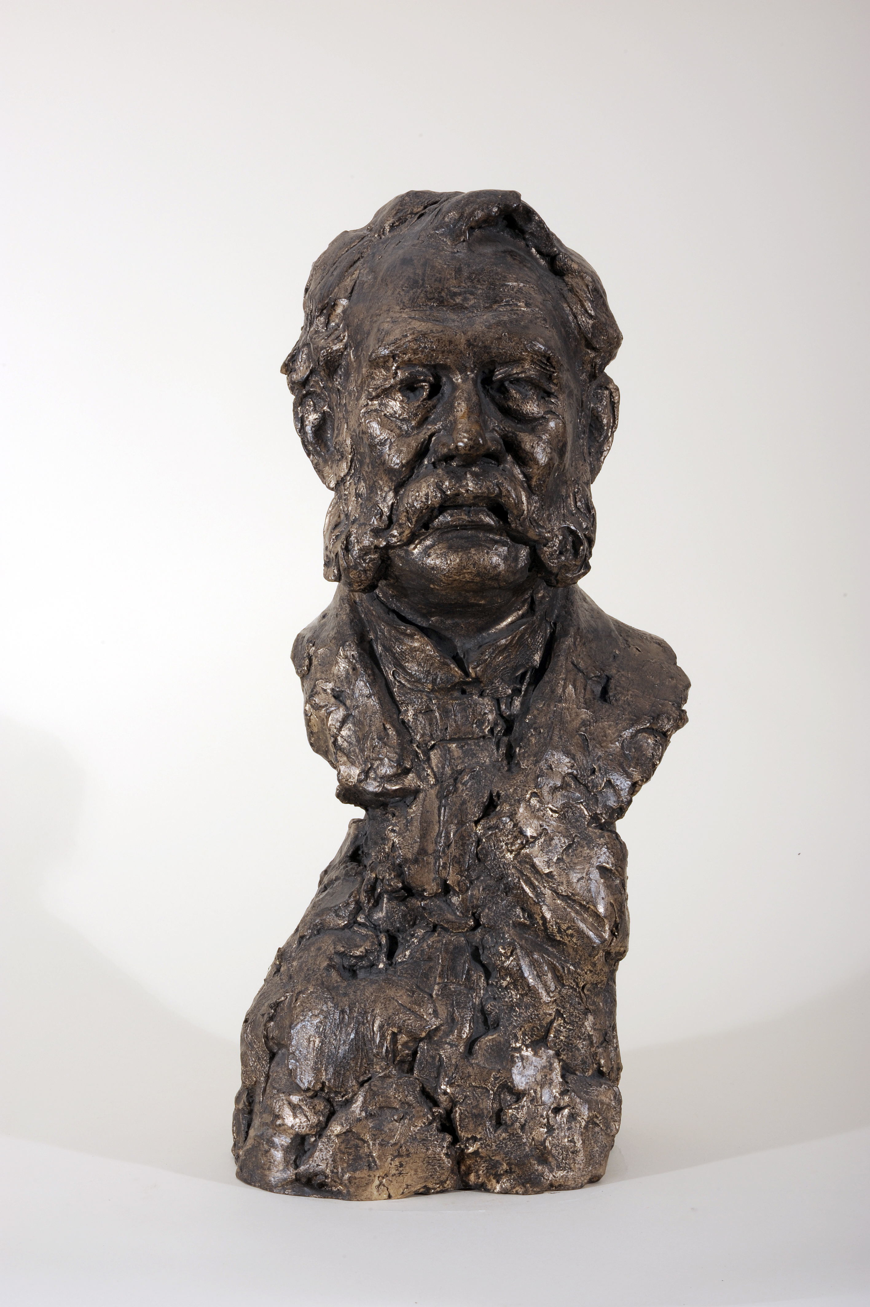 Drago Marin Cherina – Werner von Siemens