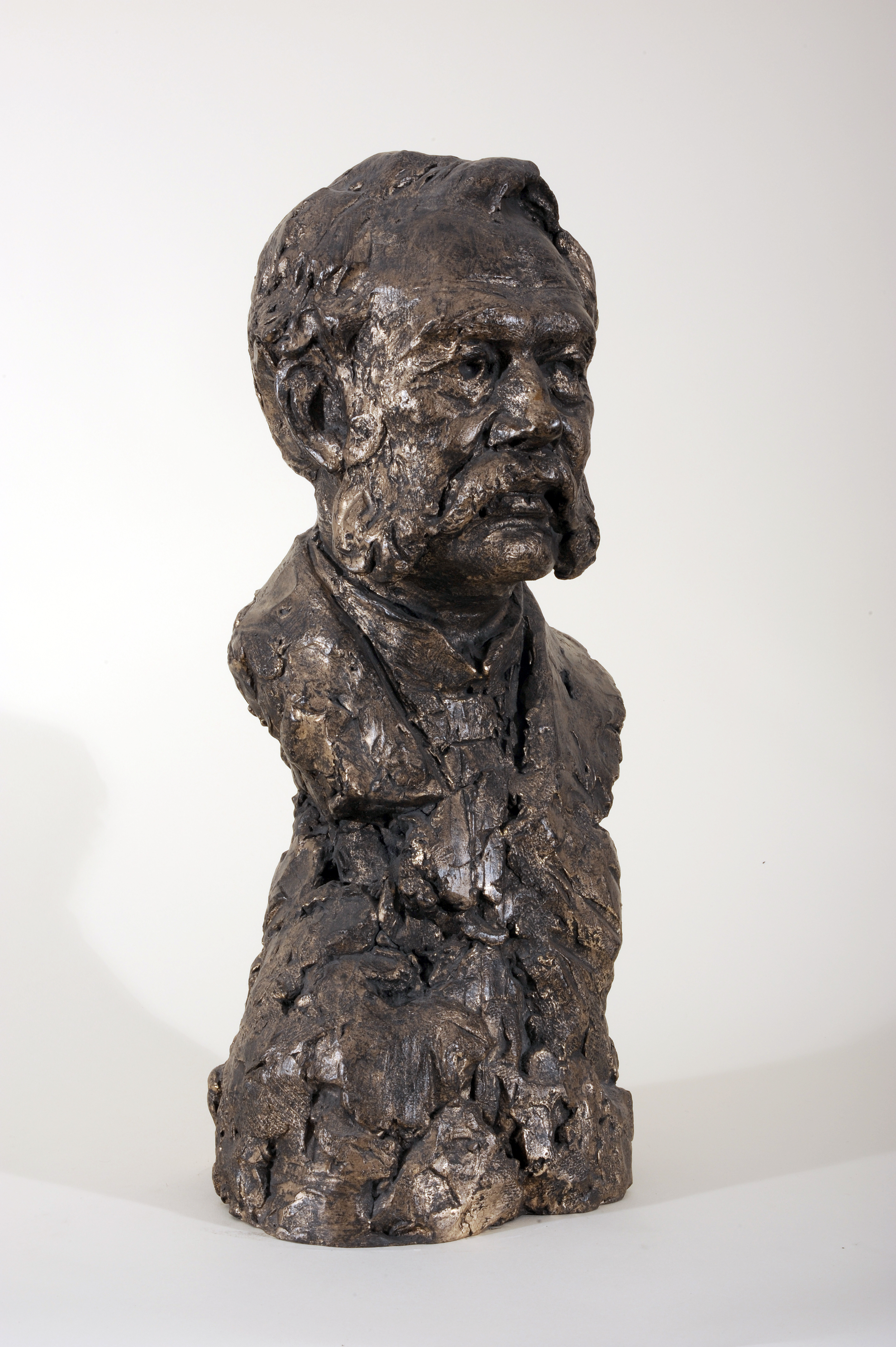 Drago Marin Cherina – Werner von Siemens
