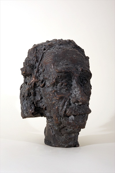 Drago Marin Cherina – Albert Einstein